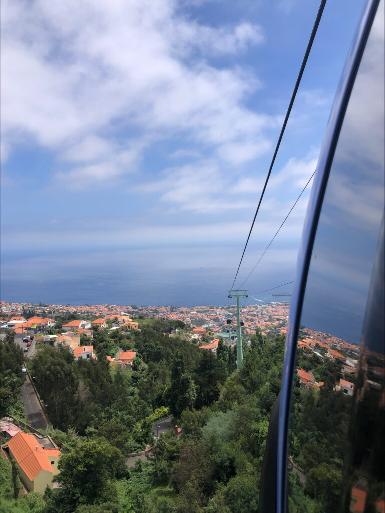 processed-B8849284-D559-4385-9BAE-76C7FD264829